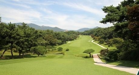 동래베네스트 여자