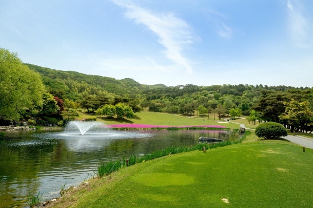 티클라우드 분3억