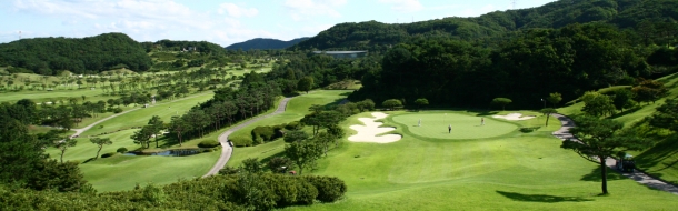 포천아도니스 무기명